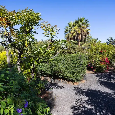 Διαμέρισμα Home2book Comfy Hibiscus, Peace Retreat La Orotava