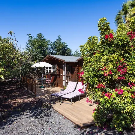 Daire Home2book Comfy Hibiscus, Peace Retreat *