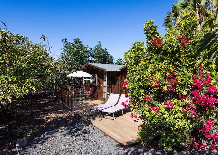 アパート Home2book Comfy Hibiscus, Peace Retreat *