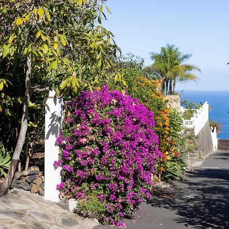 Home2book Comfy Hibiscus, Peace Retreat * La Orotava