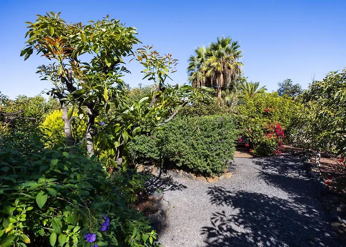 Lejlighed Home2book Comfy Hibiscus, Peace Retreat La Orotava